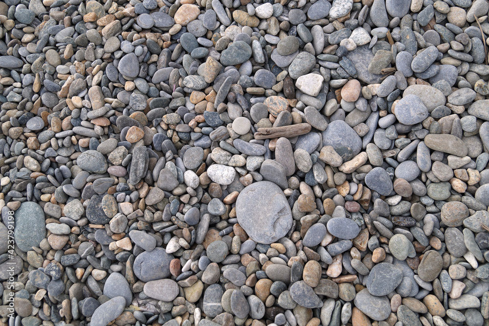 Dry, small pebbles from the rocks on the beach. Top view. The pattern. Macrophotography Dry, small pebbles from the rocks on the beach. Top view. The pattern. Macrophotography