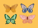 four beautiful butterflies