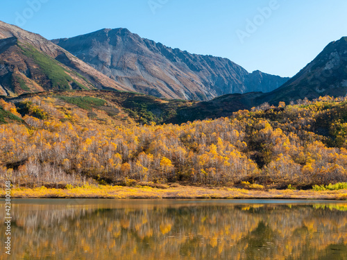 Nice view of the lake and the Vachkazhets mountain range. High mountains against the background of an autumn forest with yellow leaves and the smooth surface of the lake. Kamchatka Peninsula, Russia.