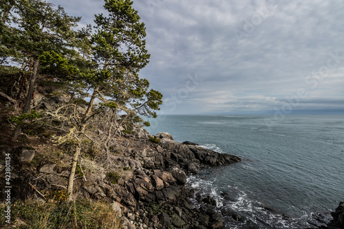 rugged rocky treelined coast of the sea on Vancouver Island, Canada