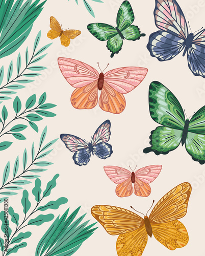 butterflies and plants