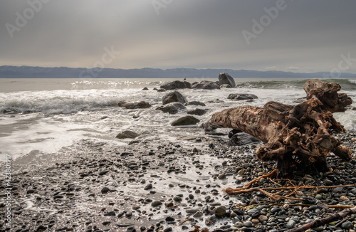 driftwood on rocky beach and mountain view