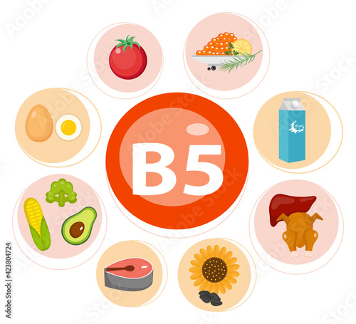 Infographic set of vitamin B5 and useful products avocado, cauliflower, egg, bean, corn, milk, fig, mushroom. Healthy lifestyle and diet vector concept.