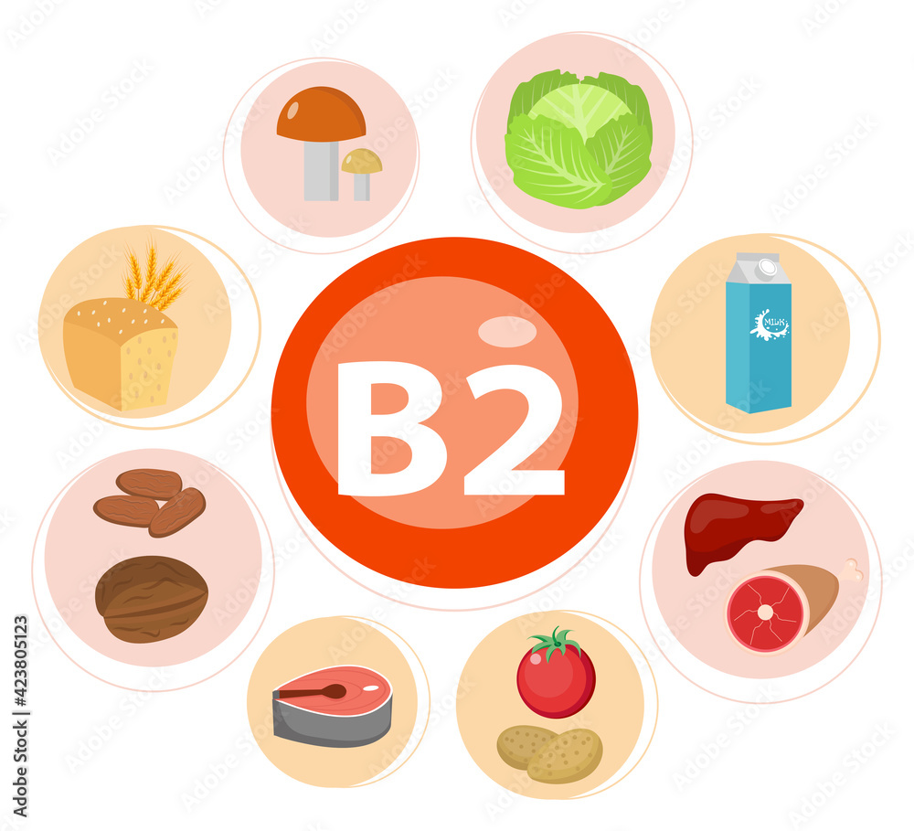 Vitamins and Minerals foods Illustrator set 7.Vector set of vitamin rich foods. Vitamin B2-milk, egg, spinach, oysters, cheese, liver, mushrooms and broccoli. Vitamins and Minerals foods Illustrator set 7.Vector set of vitamin rich foods. Vitamin B2-milk, egg, spinach, oysters, cheese, liver, mushrooms and broccoli.