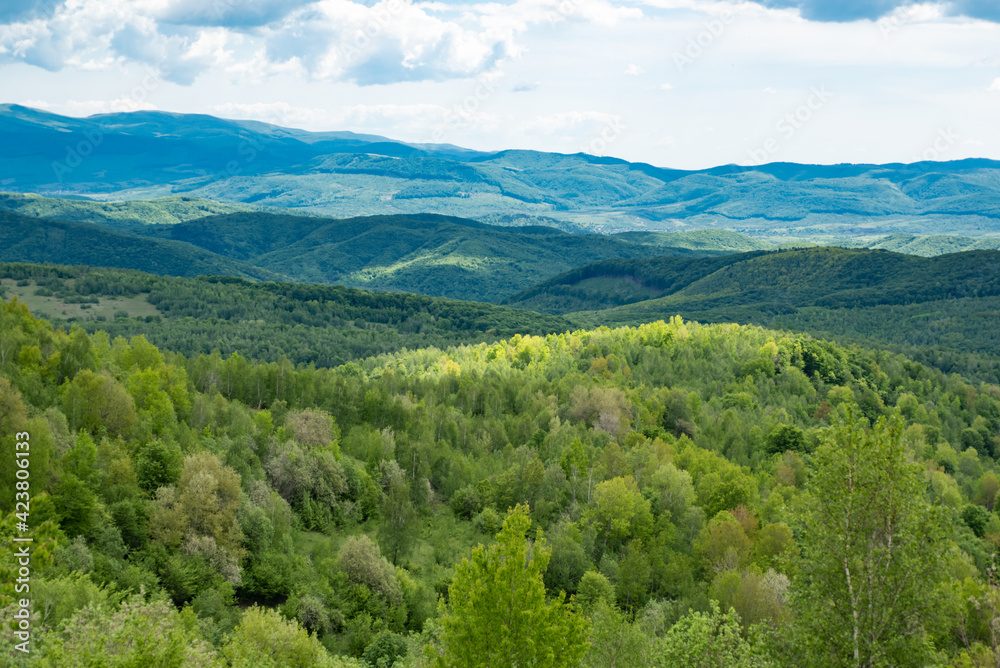 Hills panorama of transcarpathia. Countryside view at wonderful springtime. Mountain landscape.