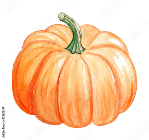 Tablou pe pânză watercolor orange pumpkin isolated on white background