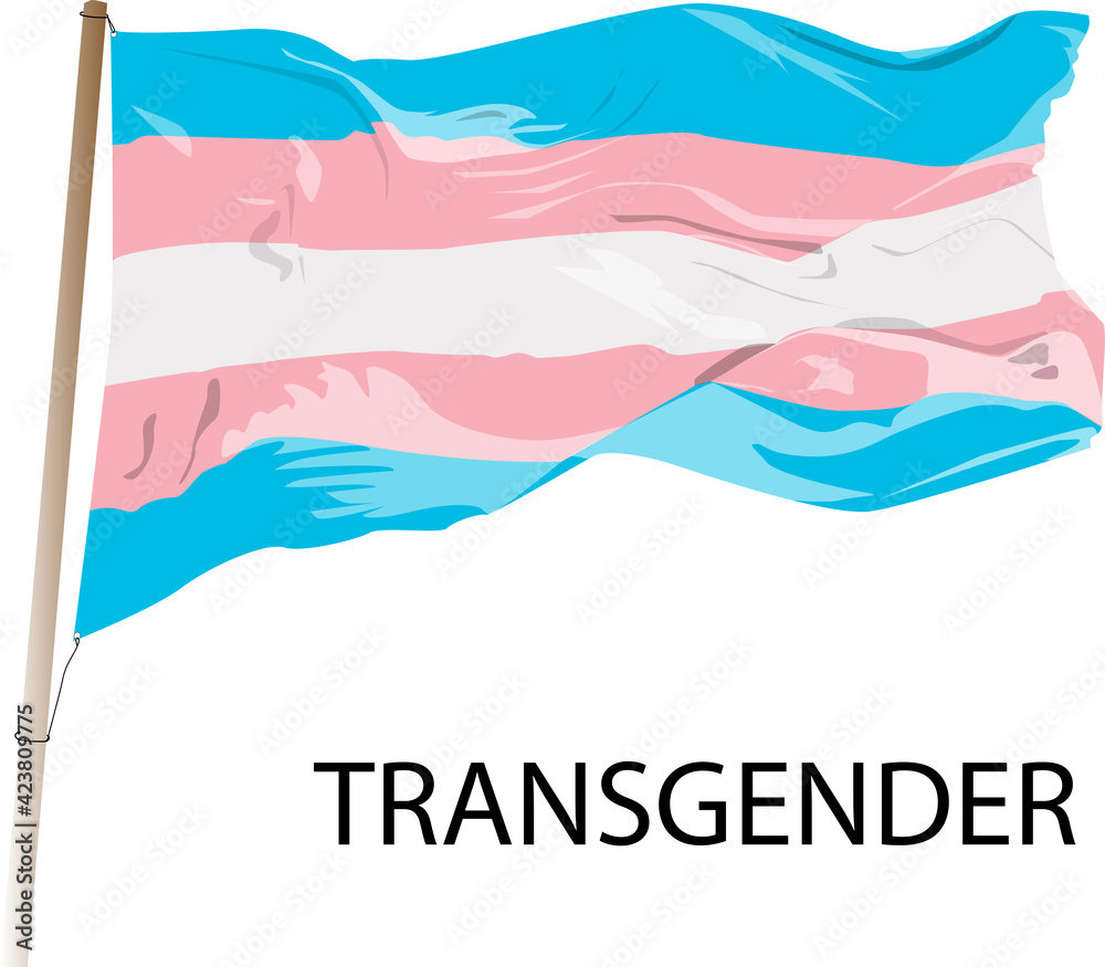 A transgender flag being waved. LGBTQ symbol on white background painted in white, blue and pink colors, equality rights. A transgender flag being waved. LGBTQ symbol on white background painted in white, blue and pink colors, equality rights.