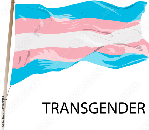 A transgender flag being waved. LGBTQ symbol on white background painted in white, blue and pink colors, equality rights.