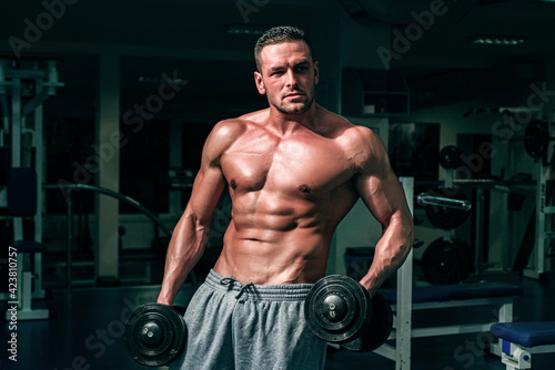 Bodybuilder training in gym with dumbbells. Sportsman with naked torso. Sporty workout. Athletic body.
