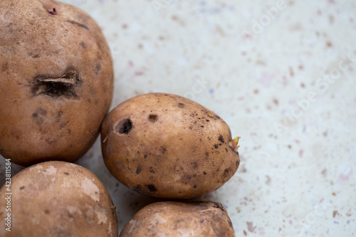 A few organic potatoes on the table. Made in natural light  soft shadows.