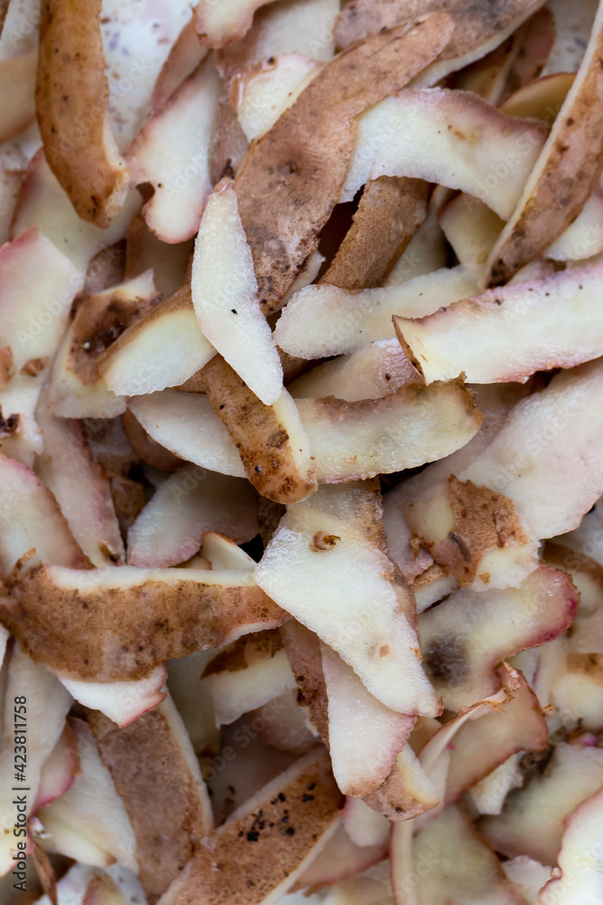 Fresh potato peelings on the table. Made in natural light, soft shadows. Fresh potato peelings on the table. Made in natural light, soft shadows.