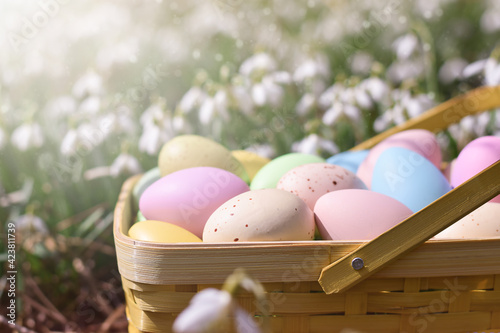 Canvas Print Colourful easter eggs in yellow basket gathered from easter egg hunt with snowdr