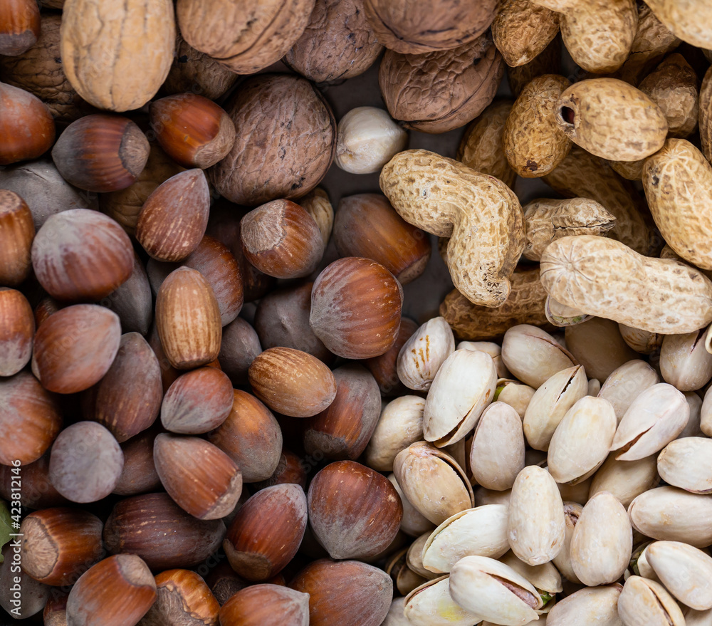 Pistachios, walnuts, hazelnuts, and peanuts in one bowl. Natural, soft light Pistachios, walnuts, hazelnuts, and peanuts in one bowl. Natural, soft light