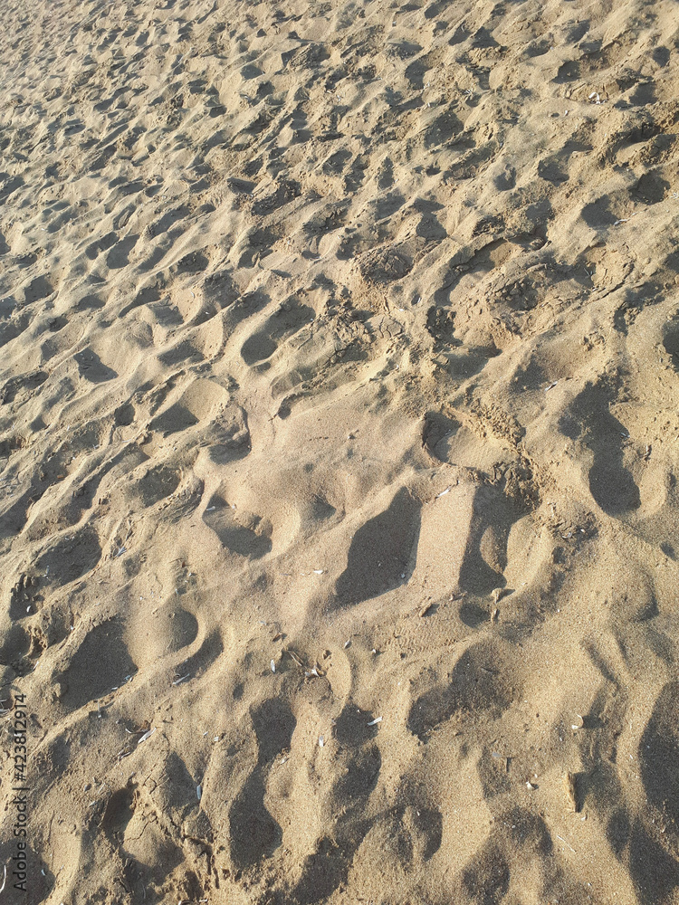 footprints in the sand footprints in the sand