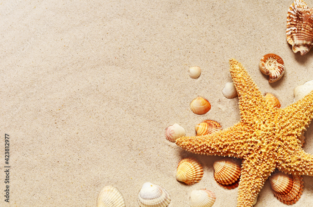Starfish and seashells on the sandy beach. Summer background. Starfish and seashells on the sandy beach. Summer background.