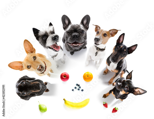 couple of dogs  around healthy fruits