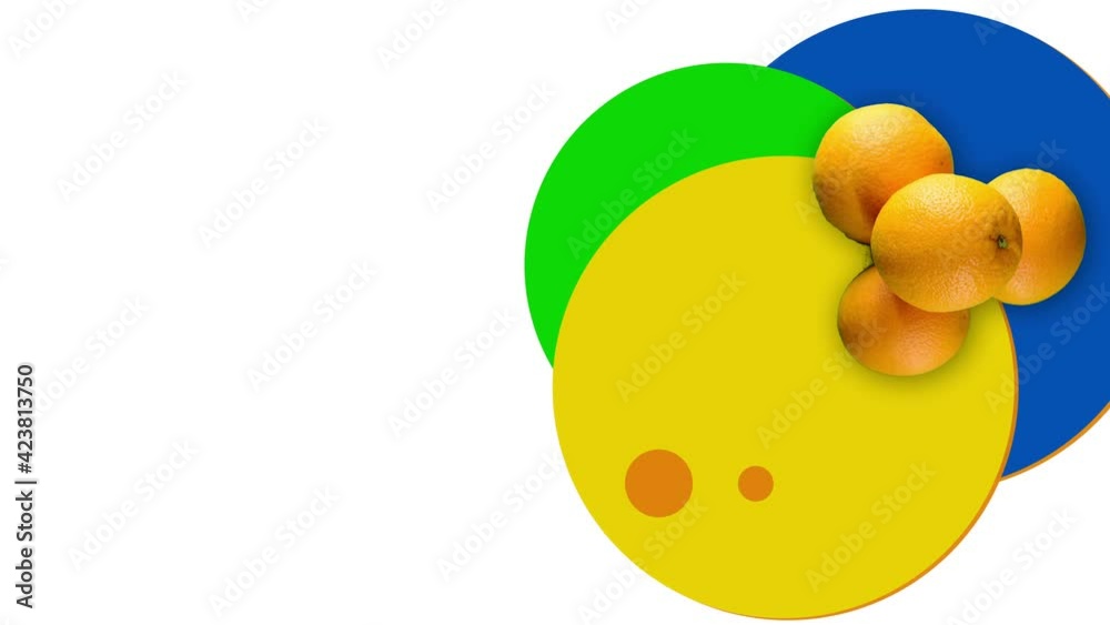 orange fruits banner with motion elements and circles shapes on background white orange fruits banner with motion elements and circles shapes on background white