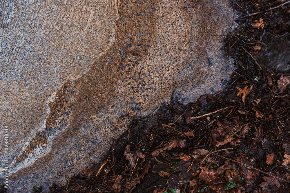 Fototapeta premium Dirty foam on the river water surface