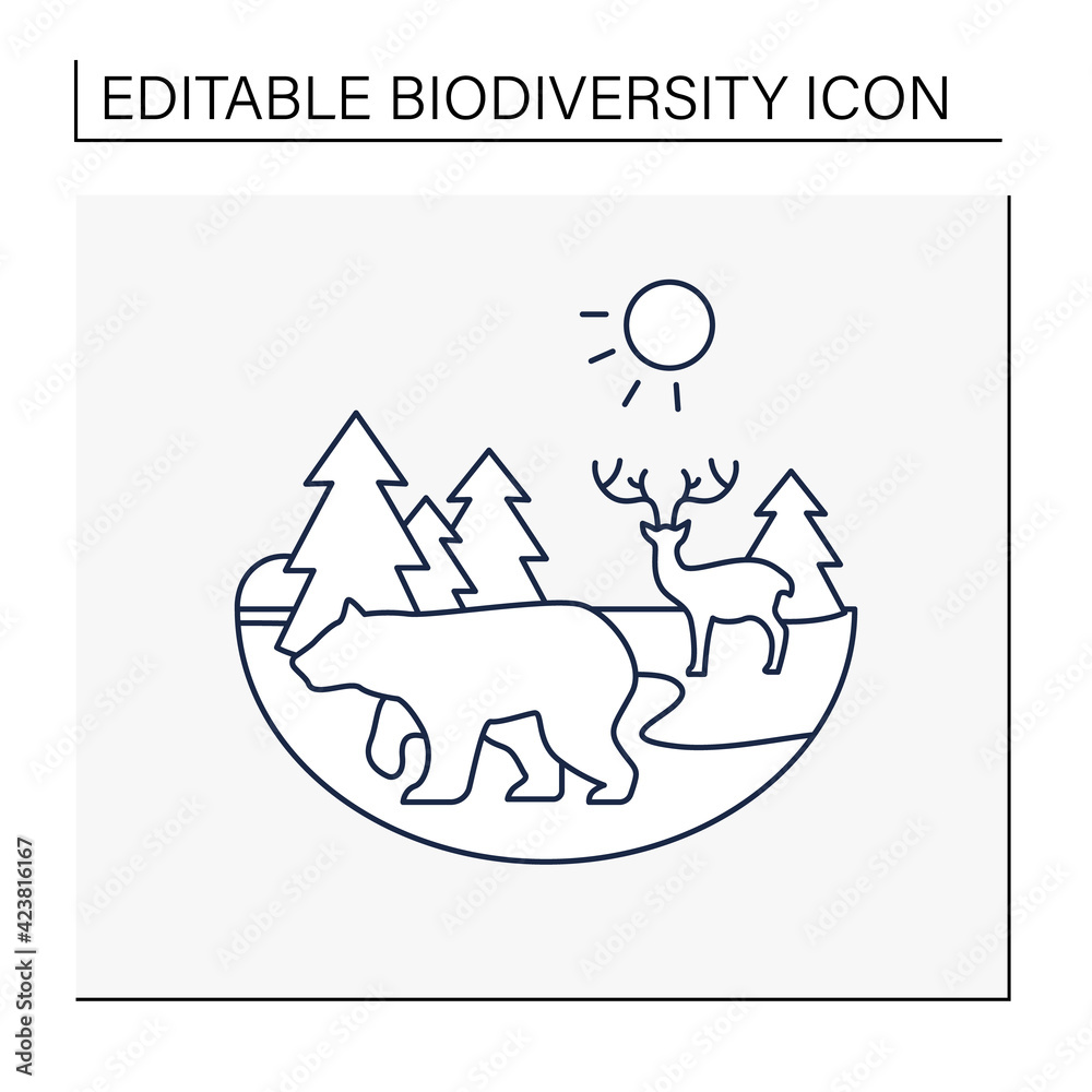 Obraz premium Taiga forest line icon. Boreal forest or the coniferous forest. Living place for dangerous and wild animals. Winter forest landscape. Biodiversity concept. Isolated vector illustration.Editable stroke