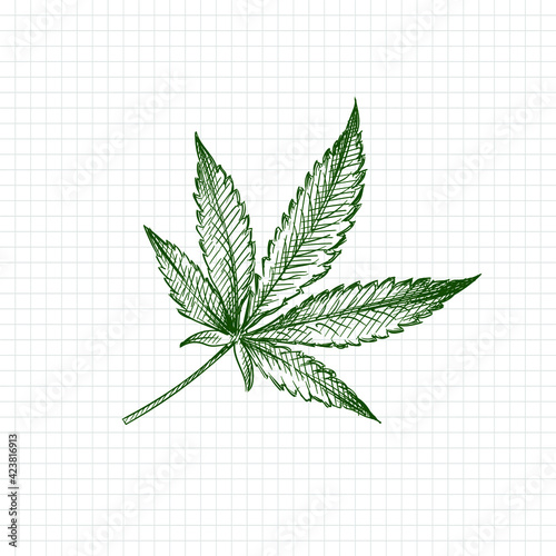 Hand drawn sketch of Marijuana Leaf on a white background. Weed smoking tools. Marijuana smoking. Cannabis	
