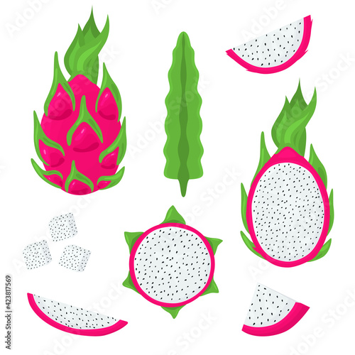 Cartoon Color Whole Pitaya and Half Set. Vector