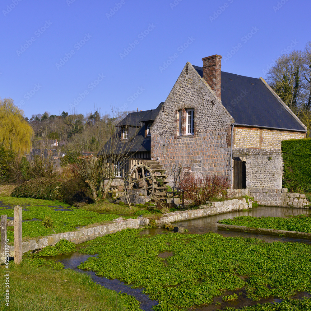 Fototapeta premium Carré le moulin à eau et les cressonnières de Veules-les-Roses (76980), département de Seine-Maritime en région Normandie, France