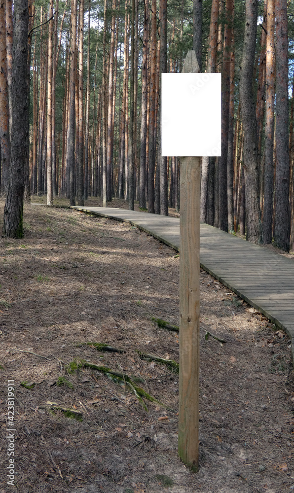 Signpost on the post, blank sheet, path from wooden planks in the forest