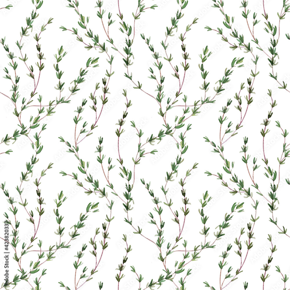 Seamless pattern with watercolor thyme branches. Mediterranean condiments. For wrapping paper, invitations, cards, textiles, wallpaper, backgrounds. Minimalism