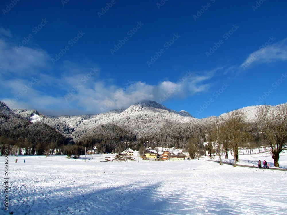 Winter view of hills covered in coniferous forest above houses in the village of Jezersko in Gorenjska, Slovenia and a snow covered field in front