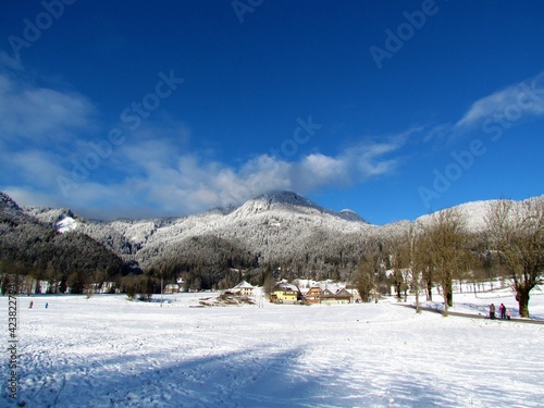 Winter view of hills covered in coniferous forest above houses in the village of Jezersko in Gorenjska, Slovenia and a snow covered field in front