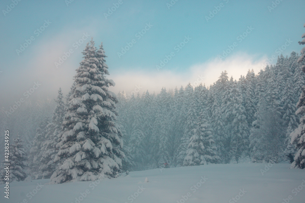 paysage enneigée de haute montagne en hiver avec une brume matinale