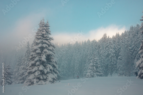 paysage enneigée de haute montagne en hiver avec une brume matinale © jef 77