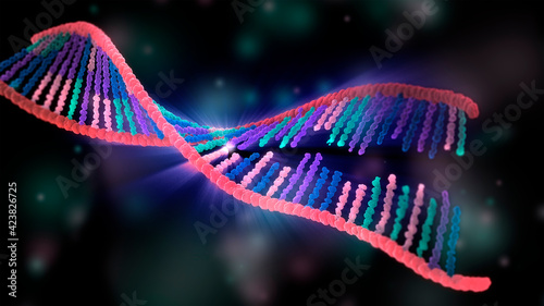 DNA molecule, abstract dna binding process, first step of the DNA replication, or transcription, in neon glowing colors with the nucleotide adenine, thymine, cytosine and guanine. 3d illustration