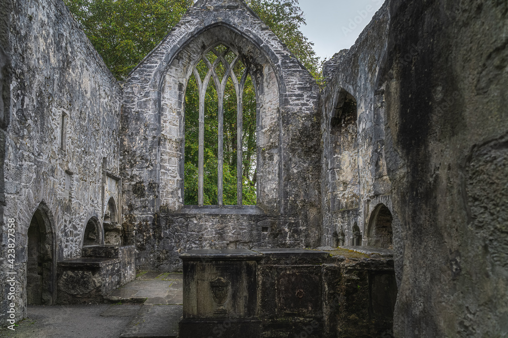 Window with arch, altars and tombs of ruined, 15th century monastery, Muckross Abbey in the Killarney National Park, Kerry, Ireland Window with arch, altars and tombs of ruined, 15th century monastery, Muckross Abbey in the Killarney National Park, Kerry, Ireland