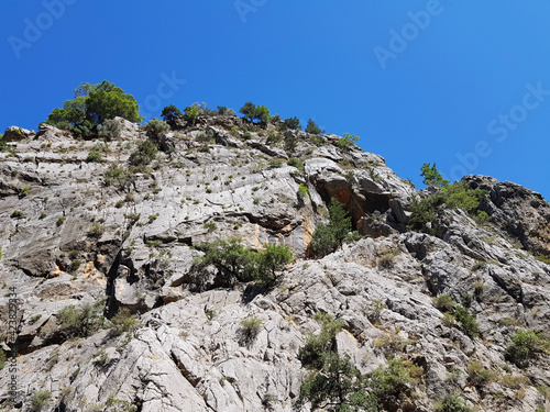 Seascape. Bay with green water against the background of mountains covered with forest on a cloudless sunny day.