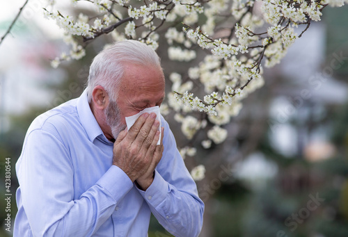 Obraz na plátně Old man having spring allergy reaction