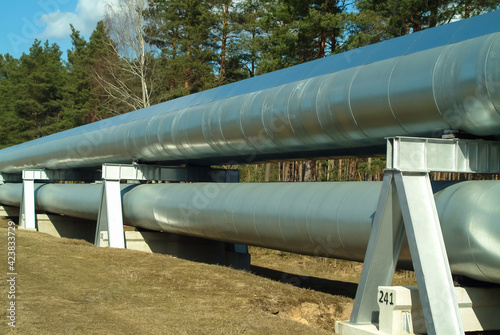 a close-up pipeline, a long-distance green forest and blue sky