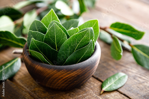 Foto Green bay leaves on wooden background