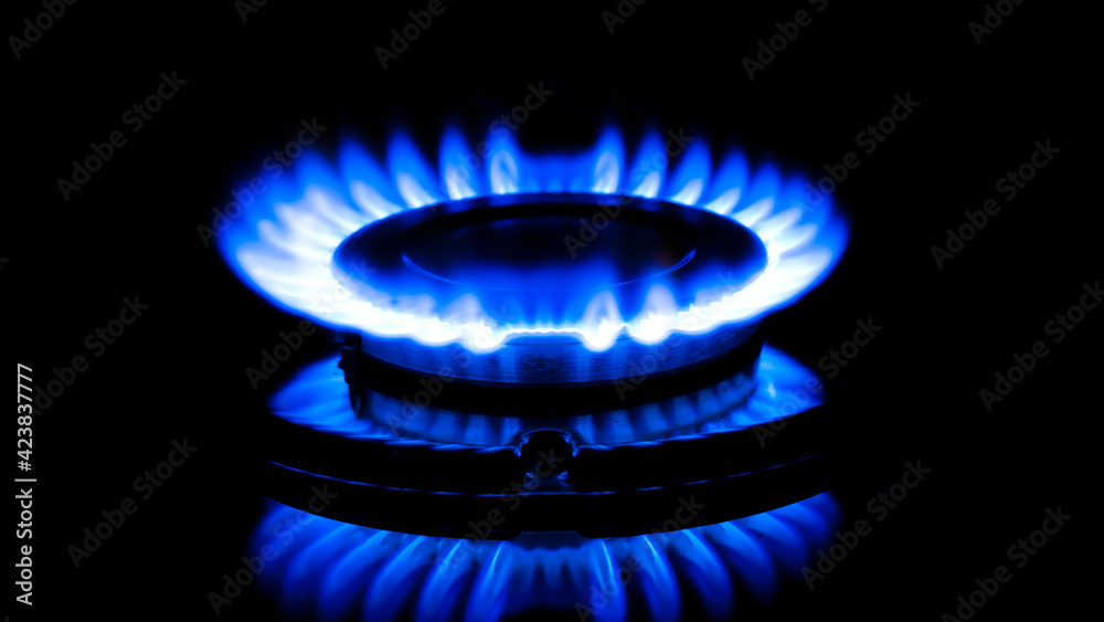 round flame propane butane methane gas blue round flame propane butane methane gas blue