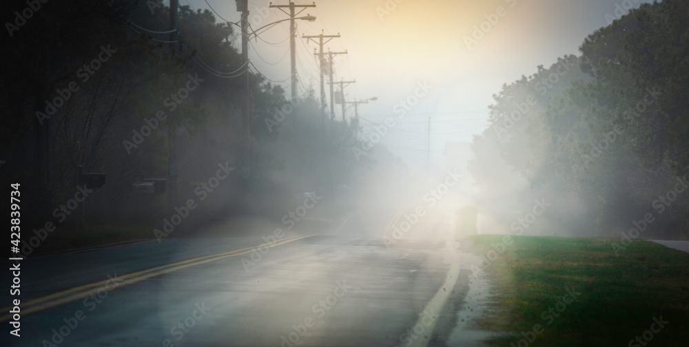 Foggy Road after Rain Storm in Nantucket Island. Rising Sunrays Blinding the Driver's Eyes. Driver's View Point on the Roadside Shoulder. 