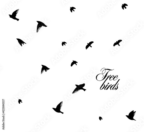 A flock of flying birds. Vector illustration