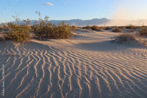 Desert Morning Sand Dunes with Sand Ripples and Shadows from a Low Morning Sun in Death Valley  California