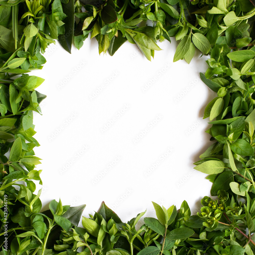 Creative layout with border made of leaves. Flat lay. Nature concept. Creative layout with border made of leaves. Flat lay. Nature concept.