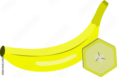 Banana summer fruit vector on isolated background