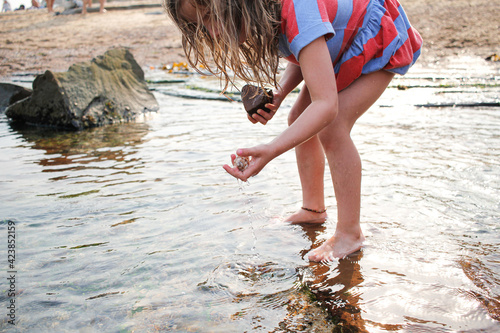 Young girl looking for shells and rocks in the shallow waters at the beach photo