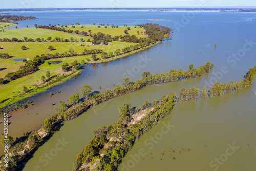 Aerial view of a flooded river flowing between rows of gum trees into a reservoir photo