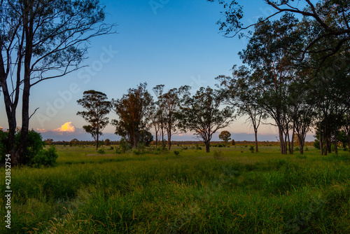afternoon light across rural land