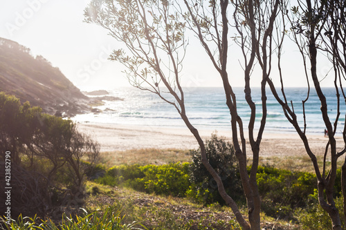 evening light at Blueys beach, nsw
