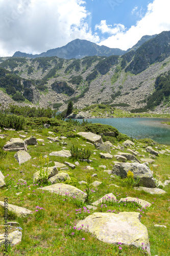 Fish Banderitsa lake at Pirin Mountain, Bulgaria