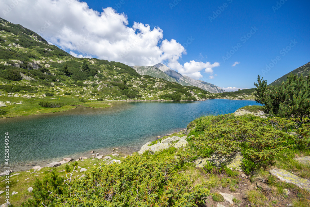 Obraz premium Fish Banderitsa lake at Pirin Mountain, Bulgaria